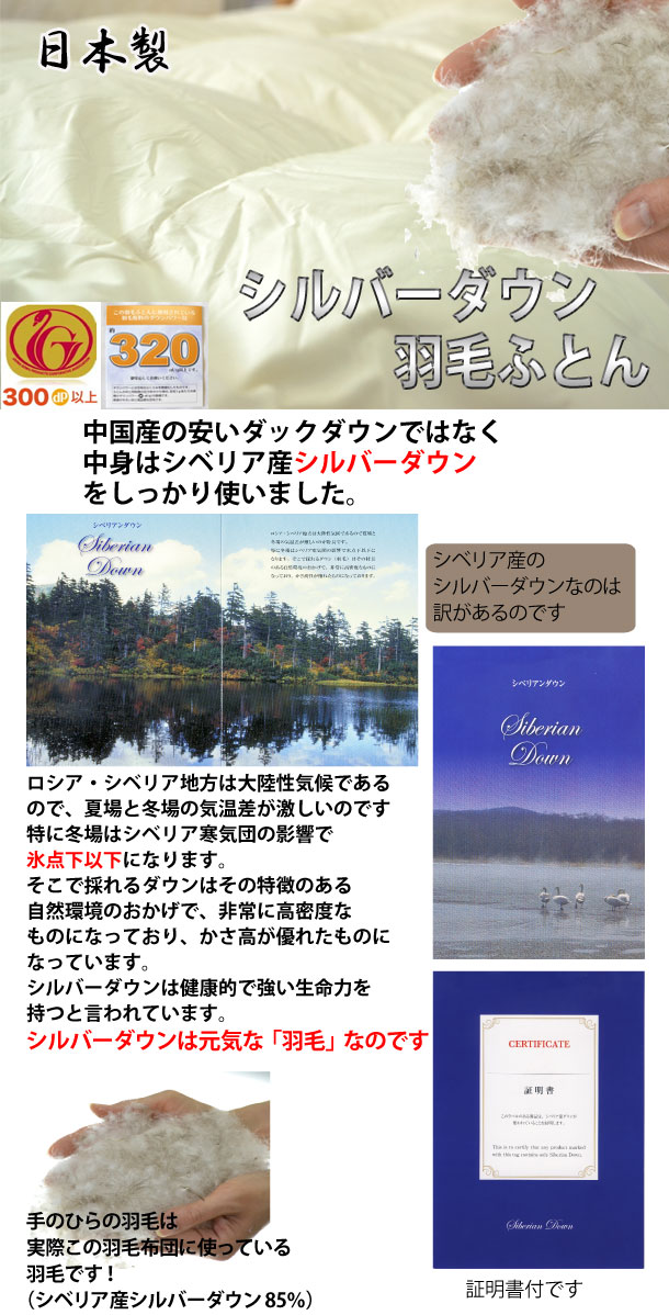 シルバーダウン